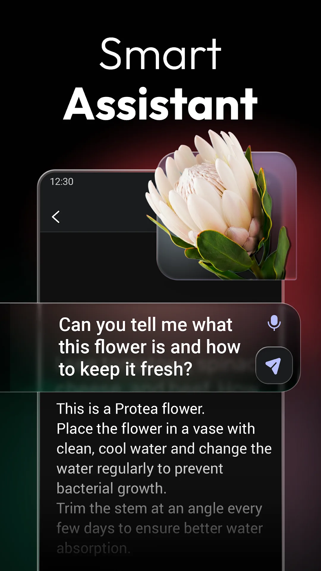 تطبيق ChatOn AI مهكر مهكر — لقطة 2